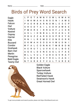 Printable Birds of Prey Word Search (PDF & PNG)