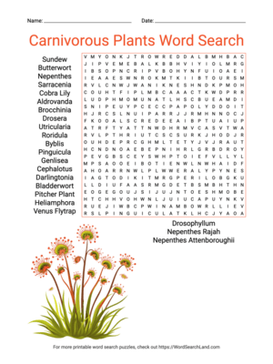 Printable Carnivorous Plants Word Search (PDF & PNG)