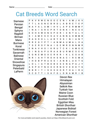 Printable Cat Breeds Word Search (PDF & PNG)