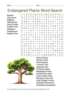 Printable Endangered Plants Word Search (PDF & PNG)