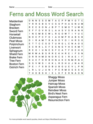 Printable Ferns and Moss Word Search (PDF & PNG)