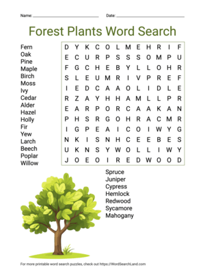 Printable Forest Plants Word Search (PDF & PNG)