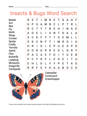 Printable Insects & Bugs Word Search (PDF & PNG)