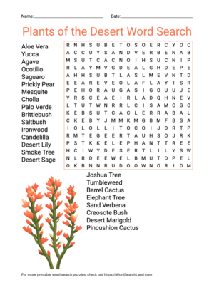 Printable Plants of the Desert Word Search (PDF & PNG)