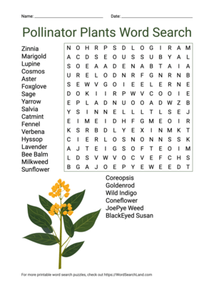 Printable Pollinator Plants Word Search (PDF & PNG)