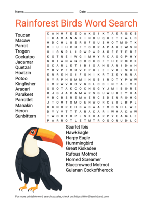 Printable Rainforest Birds Word Search (PDF & PNG)