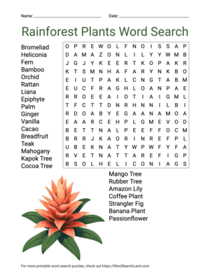 Printable Rainforest Plants Word Search (PDF & PNG)