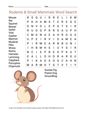 Printable Rodents & Small Mammals Word Search (PDF & PNG)