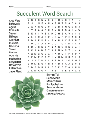 Printable Succulent Word Search (PDF & PNG)