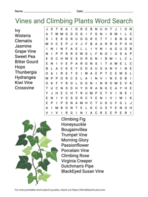 Printable Vines and Climbing Plants Word Search (PDF & PNG)