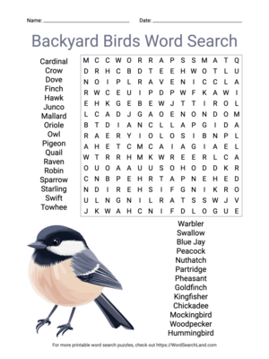 Printable Backyard Birds Word Search (PDF & PNG)