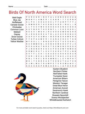 Printable Birds Of North America Word Search (PDF & PNG)