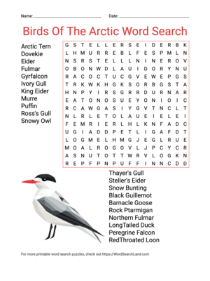 Printable Birds Of The Arctic Word Search (PDF & PNG)