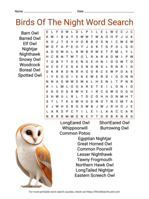 Printable Birds Of The Night Word Search (PDF & PNG)