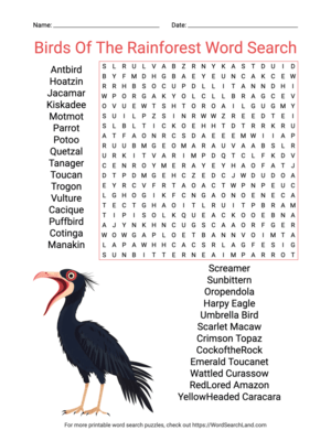 Printable Birds Of The Rainforest Word Search (PDF & PNG)