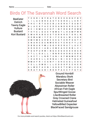 Printable Birds Of The Savannah Word Search (PDF & PNG)