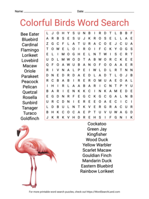 Printable Colorful Birds Word Search (PDF & PNG)