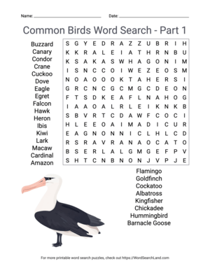 Printable Common Birds Word Search - Part 1 (PDF & PNG)