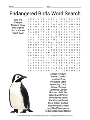 Printable Endangered Birds Word Search (PDF & PNG)