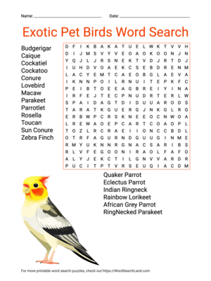 Printable Exotic Pet Birds Word Search (PDF & PNG)