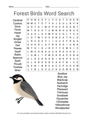 Printable Forest Birds Word Search (PDF & PNG)