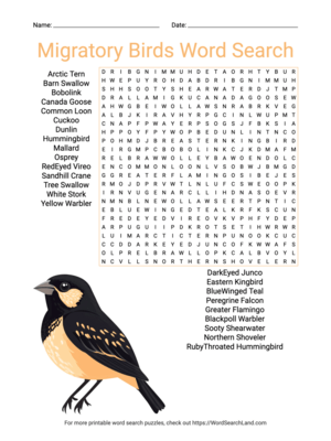 Printable Migratory Birds Word Search (PDF & PNG)