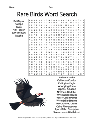 Printable Rare Birds Word Search (PDF & PNG)