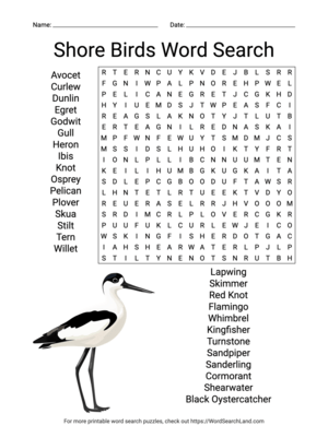 Printable Shore Birds Word Search (PDF & PNG)