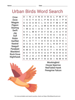 Printable Urban Birds Word Search (PDF & PNG)