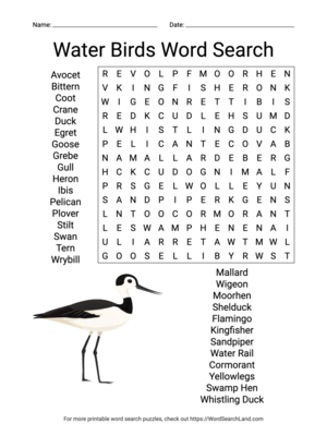 Printable Water Birds Word Search (PDF & PNG)