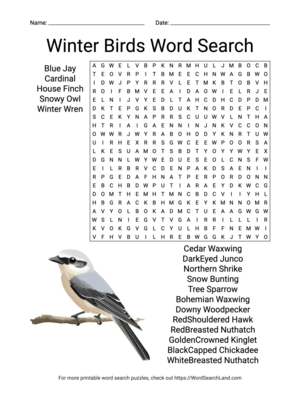 Printable Winter Birds Word Search (PDF & PNG)