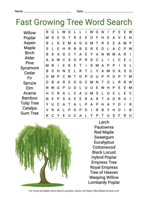 Printable Fast Growing Trees Word Search (PDF & PNG)