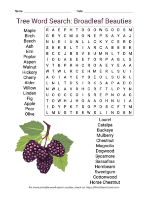 Printable Tree Word Search: Broadleaf Beauties (PDF & PNG)