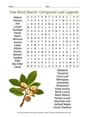 Printable Tree Word Search: Compound Leaf Legends (PDF & PNG)