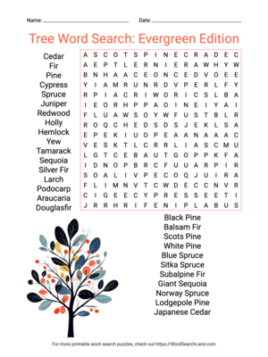 Printable Tree Word Search: Evergreen Edition (PDF & PNG)