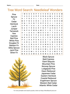 Printable Tree Word Search: Needleleaf Wonders (PDF & PNG)