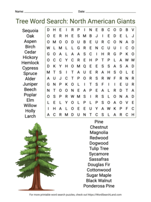 Printable Tree Word Search: North American Giants (PDF & PNG)