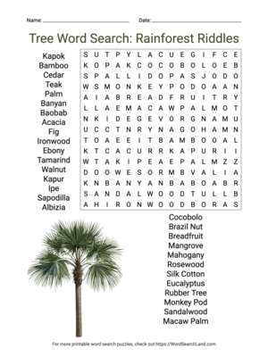 Printable Tree Word Search: Rainforest Riddles (PDF & PNG)